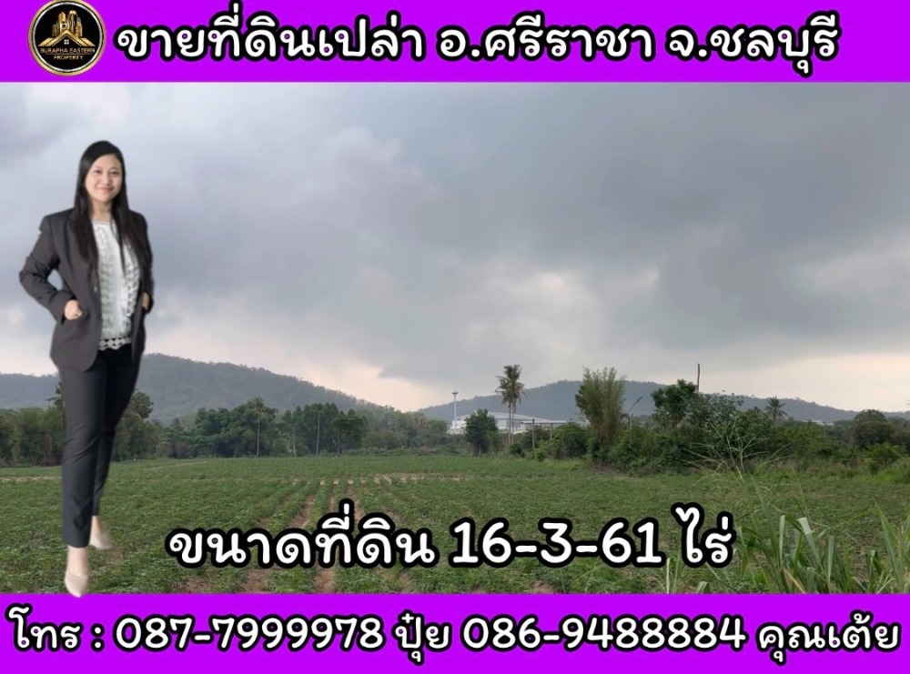 ขายที่ดินศรีราชา แหลมฉบัง บ้านบึง : ขายที่ดินสีม่วงถูกที่สุดในย่านนี้ศรีราชา อ.ศรีราชา จ.ชลบุรี