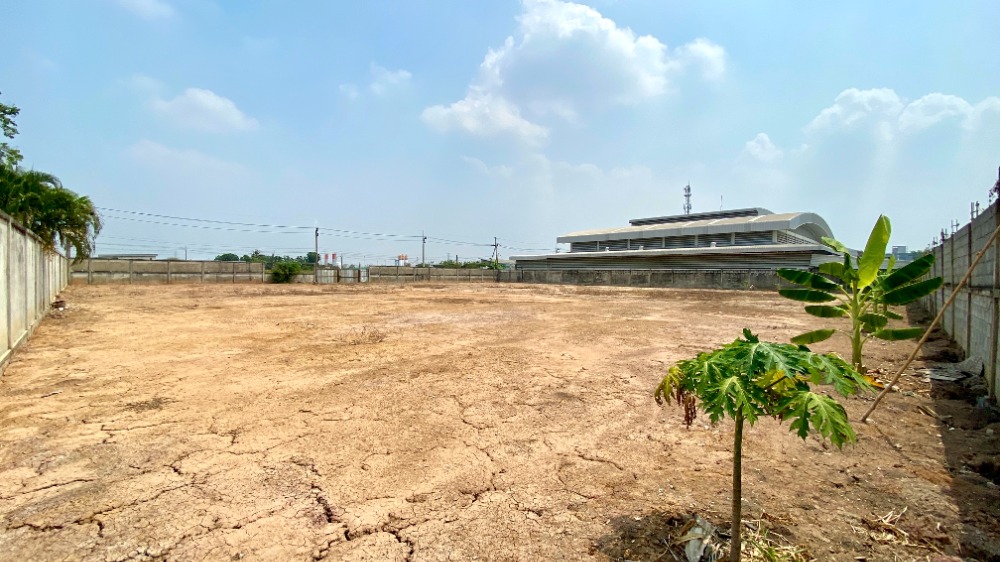 ให้เช่าที่ดินปทุมธานี รังสิต ธรรมศาสตร์ : ที่ดินให้เช่า 2 ไร่ ล้อมรั้วแล้ว ถมดินพร้อมใช้งาน ถ.หทัษราฎร์ 63 แยก 4 ลำลูกกา ปทุมธานี ทำโกดัง สำนักงาน ได้หมด