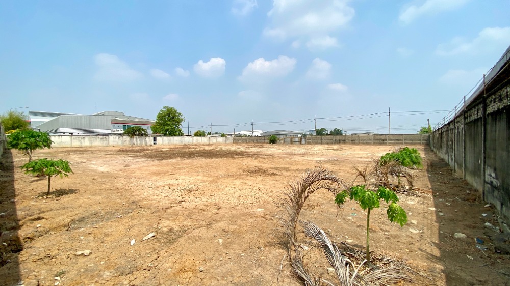 ให้เช่าที่ดินปทุมธานี รังสิต ธรรมศาสตร์ : ที่ดินให้เช่า 2 ไร่ ล้อมรั้วแล้ว ถมดินพร้อมใช้งาน ถ.หทัษราฎร์ 63 แยก 4 ลำลูกกา ปทุมธานี ทำโกดัง สำนักงาน ได้หมด