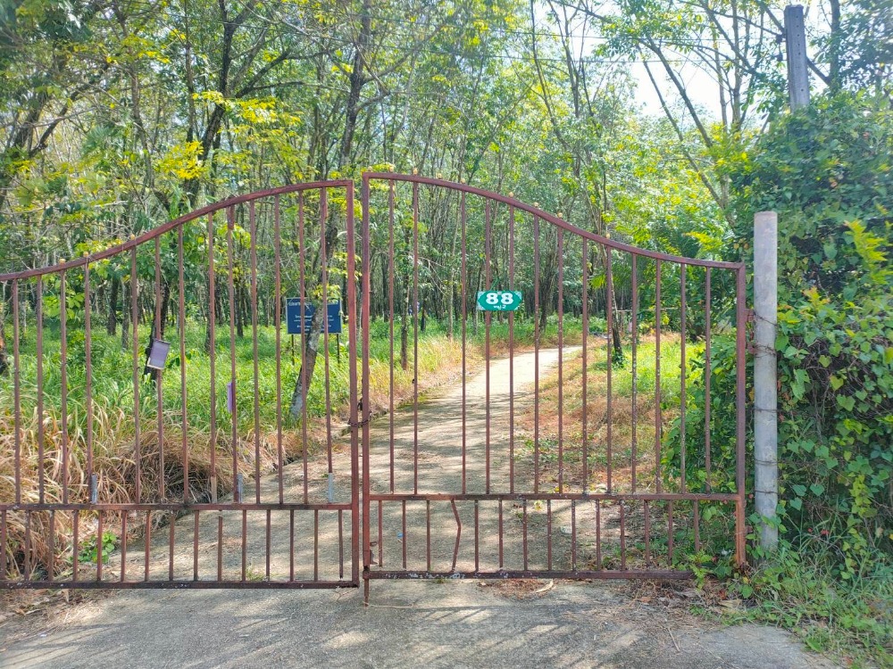 For SaleLandPhuket : 126 rai of vacant land, cheap price in Phuket