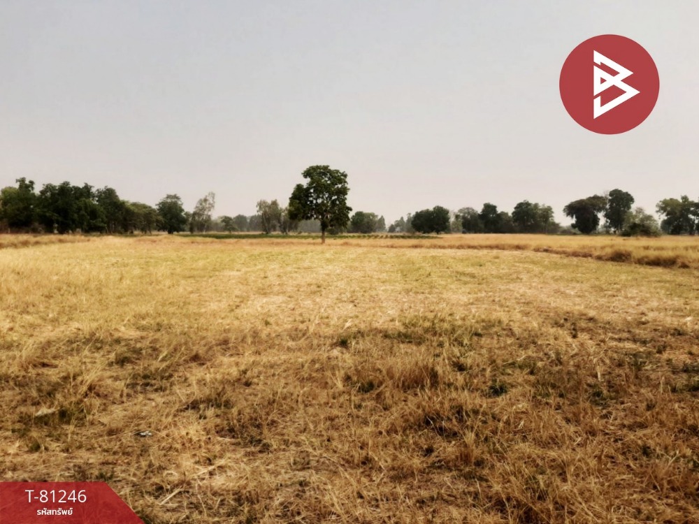For SaleLandChai Nat : Land for sale, area 41 rai 3 ngan 75.2 square wah, Hankha, Chainat