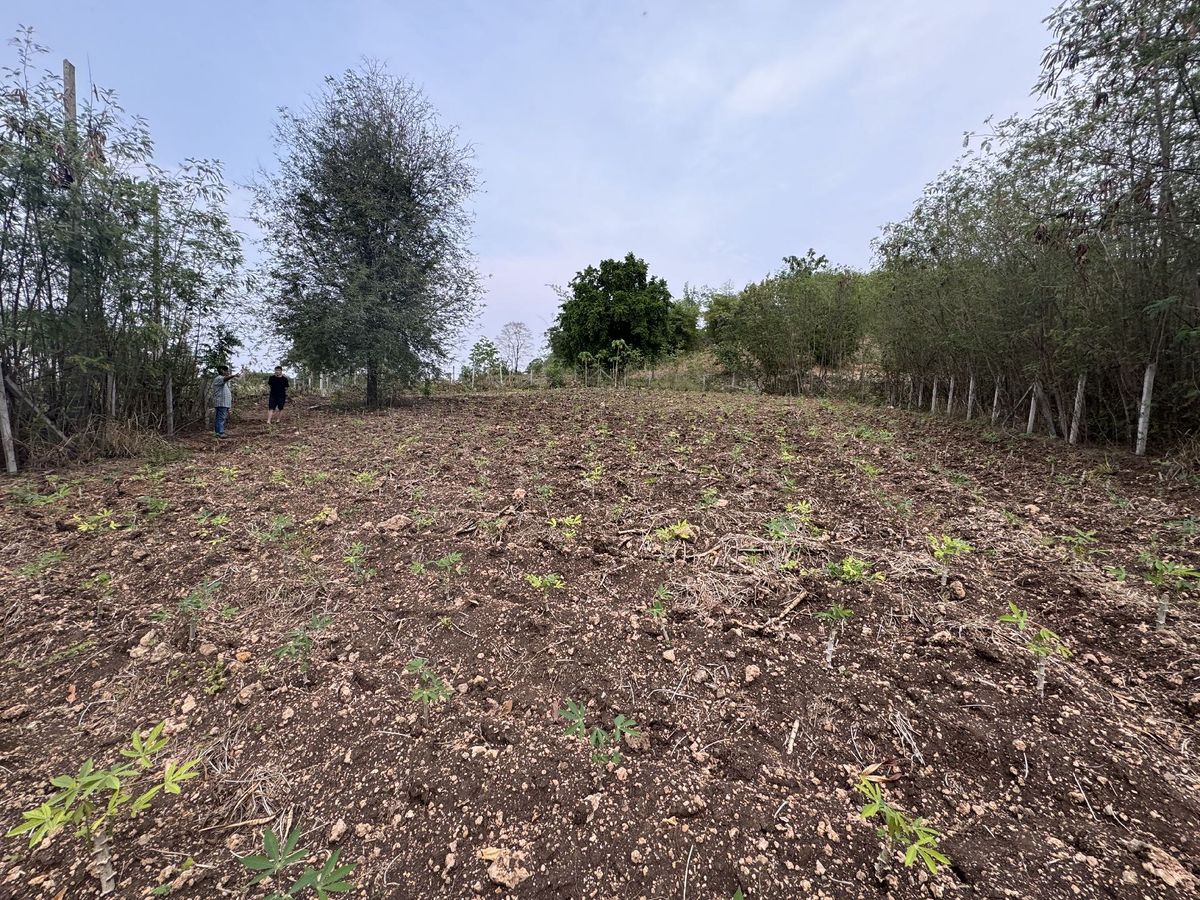 For SaleLandPak Chong KhaoYai : Small plot of land for sale in Wang Sai Subdistrict, Pak Chong District