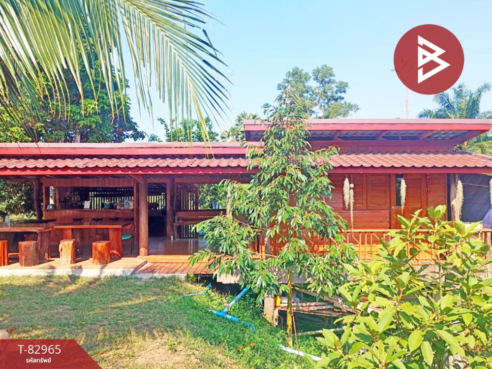 For SaleLandChumphon : Land for sale with buildings, area 11 rai 3 ngan 85 square wah, Tha Sae, Chumphon.