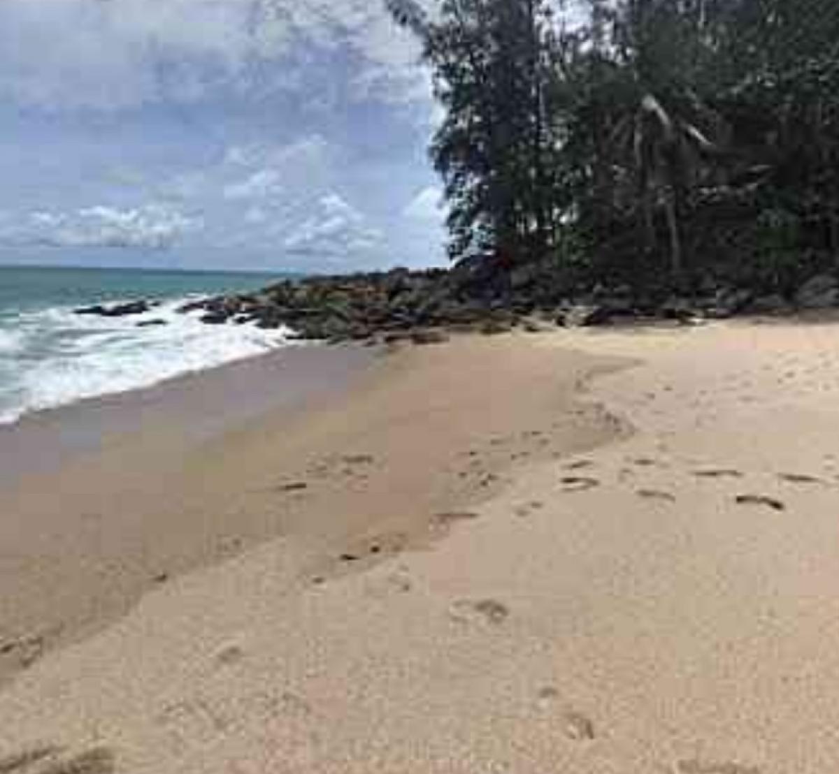 ขายที่ดินภูเก็ต : ขายที่ดินติดทะเล ภูเก็ตBanana Beach