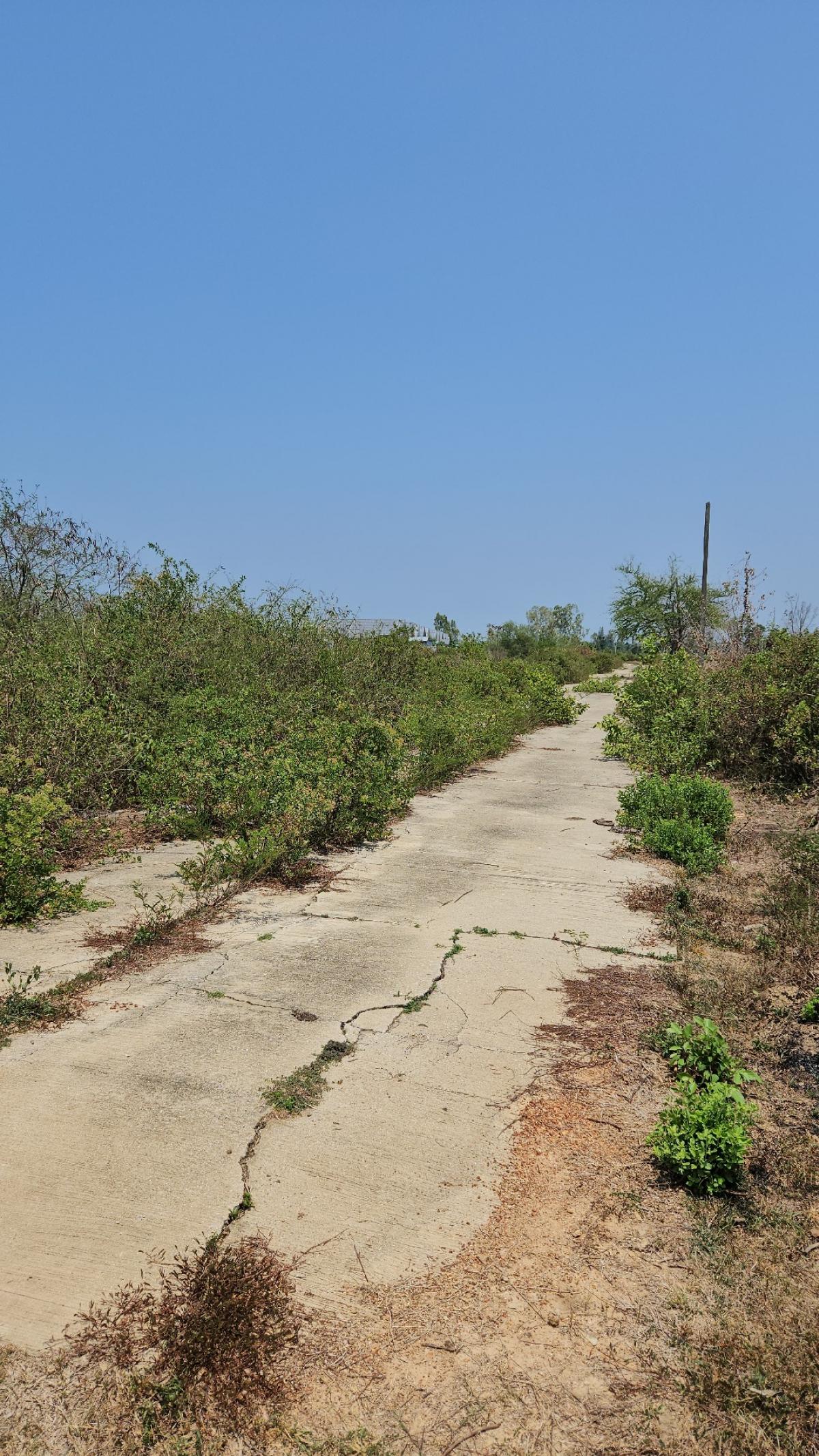 ขายที่ดินหัวหิน ประจวบคีรีขันธ์ : ที่ดินทางลงปากน้ำปราณ ห่างทะเล 4 กม.