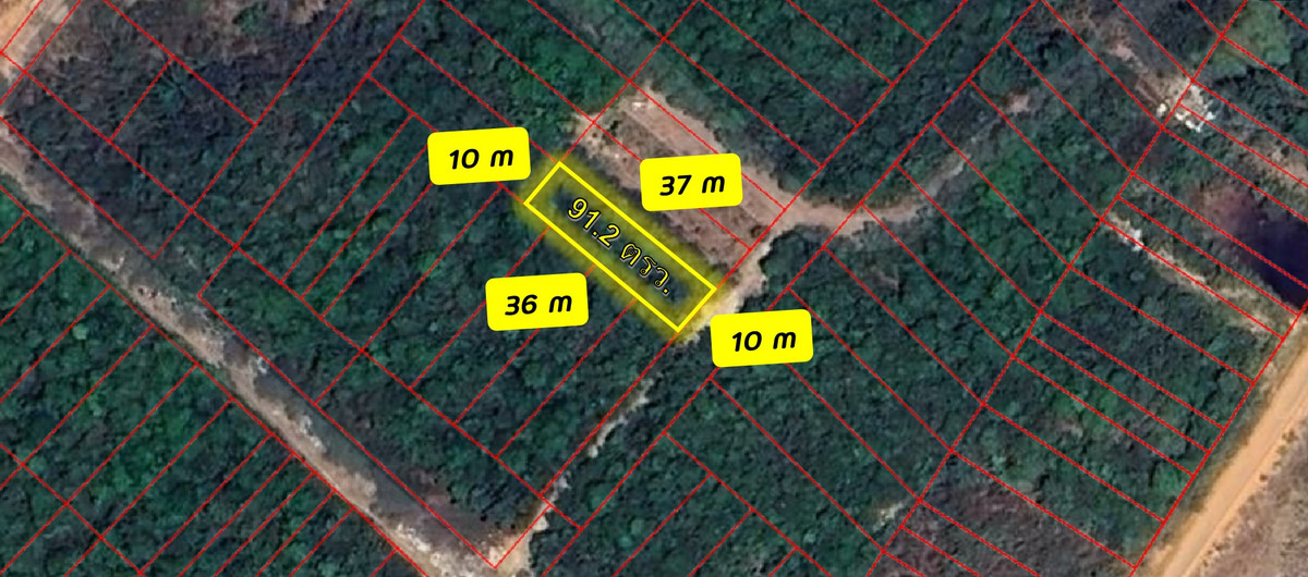 ขายที่ดินหาดใหญ่ สงขลา : ขายที่ดิน 91.2 ตร.ว หาดใหญ่ สงขลา