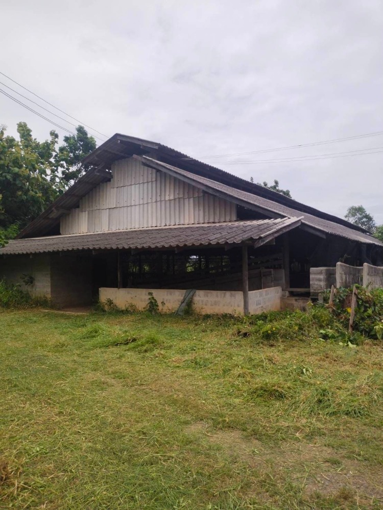 ขายที่ดินราชบุรี : ขายที่ดิน+โรงเรือน ต.ธรรมเสน เนื้อที่ 21-1-86 ไร่ #บ่อน้ำธรรมชาติ ราคา 12 ลบ.#เกษตรกรรม