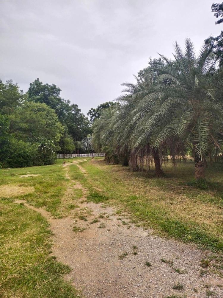 ขายที่ดินราชบุรี : ขายที่ดิน+โรงเรือน ต.ธรรมเสน เนื้อที่ 21-1-86 ไร่ #บ่อน้ำธรรมชาติ ราคา 12 ลบ.#เกษตรกรรม