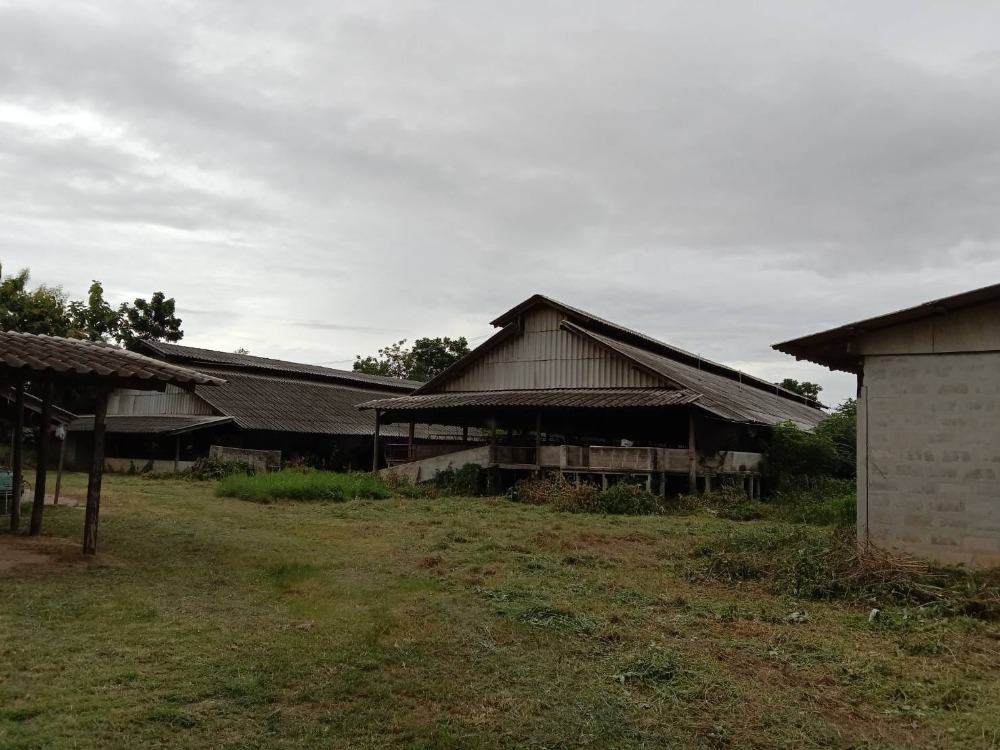 ขายที่ดินราชบุรี : ขายที่ดิน+โรงเรือน ต.ธรรมเสน เนื้อที่ 21-1-86 ไร่ #บ่อน้ำธรรมชาติ ราคา 12 ลบ.#เกษตรกรรม