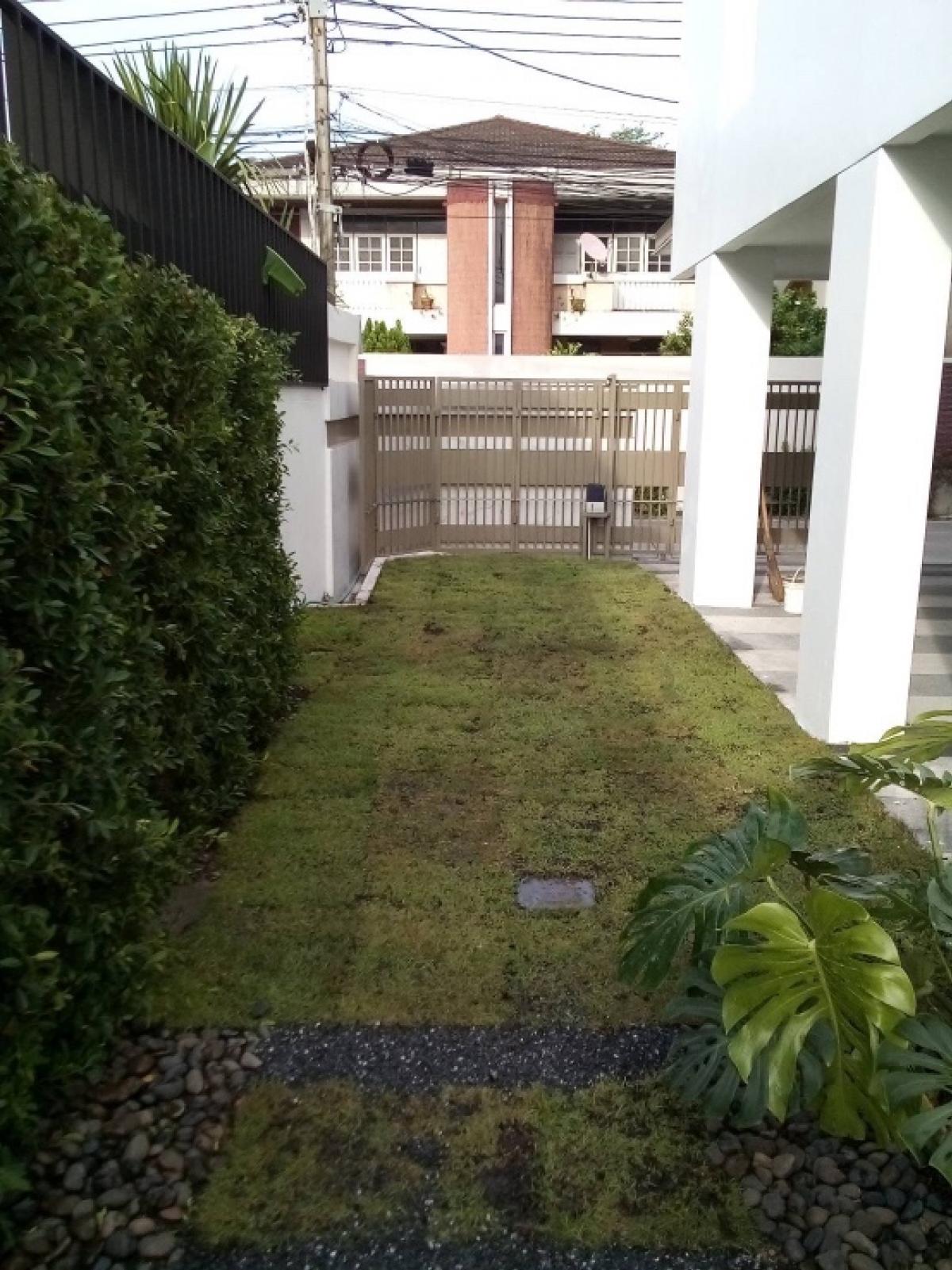 ให้เช่าทาวน์โฮมลาดพร้าว เซ็นทรัลลาดพร้าว : 🔥 ทาวน์โฮมพร้อมลิฟต์ส่วนตัว รัชดา–ลาดพร้าว | ใกล้ BTS ภาวนา | เหมาะทำโฮมออฟฟิศ 