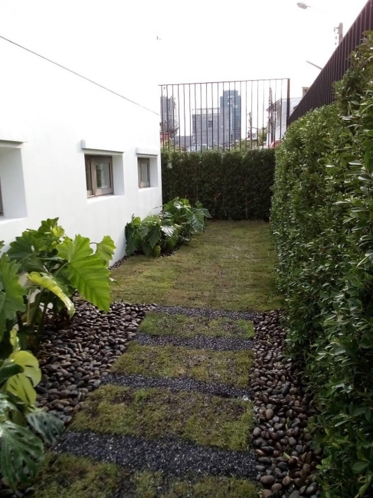 ให้เช่าทาวน์โฮมลาดพร้าว เซ็นทรัลลาดพร้าว : 🔥 ทาวน์โฮมพร้อมลิฟต์ส่วนตัว รัชดา–ลาดพร้าว | ใกล้ BTS ภาวนา | เหมาะทำโฮมออฟฟิศ 