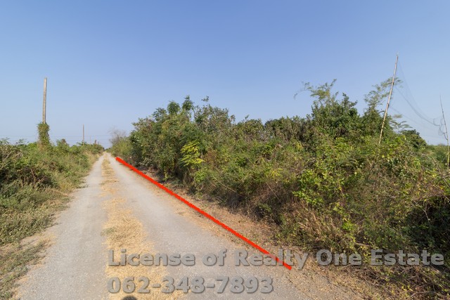 For SaleLandPathum Thani,Rangsit, Thammasat : Land for sale, Khlong 12, Nong Sam Wang Subdistrict, Nong Suea District, Pathum Thani.