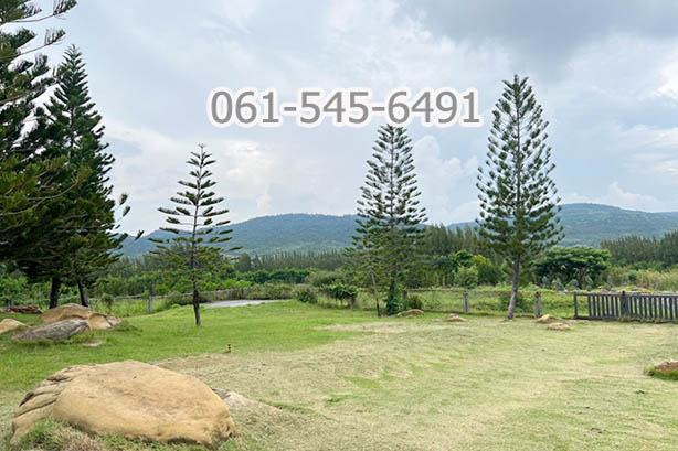 For SaleLandPak Chong KhaoYai : Land for sale, 73 rai, Khlong Muang, Pak Chong, Nakhon Ratchasima Province, land on a hill with a view of Khao Yai Thiang, good location, convenient travel.