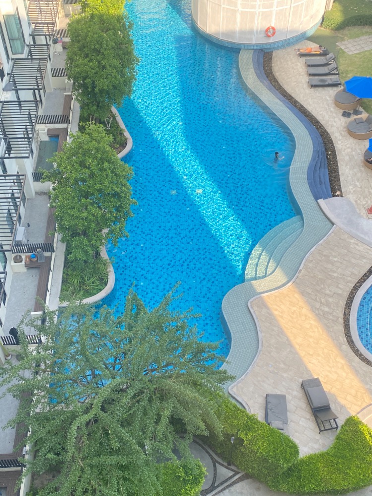 ขายคอนโดบางนา แบริ่ง ลาซาล : ขาย คอนโด ยูนิโอ สุขุมวิท 72 🚆 ใกล้ BTS แบริ่ง! Unio สุขุมวิท 72 ตึก D ชั้น 8 วิวสระว่ายน้ำ ราคาพิเศษ