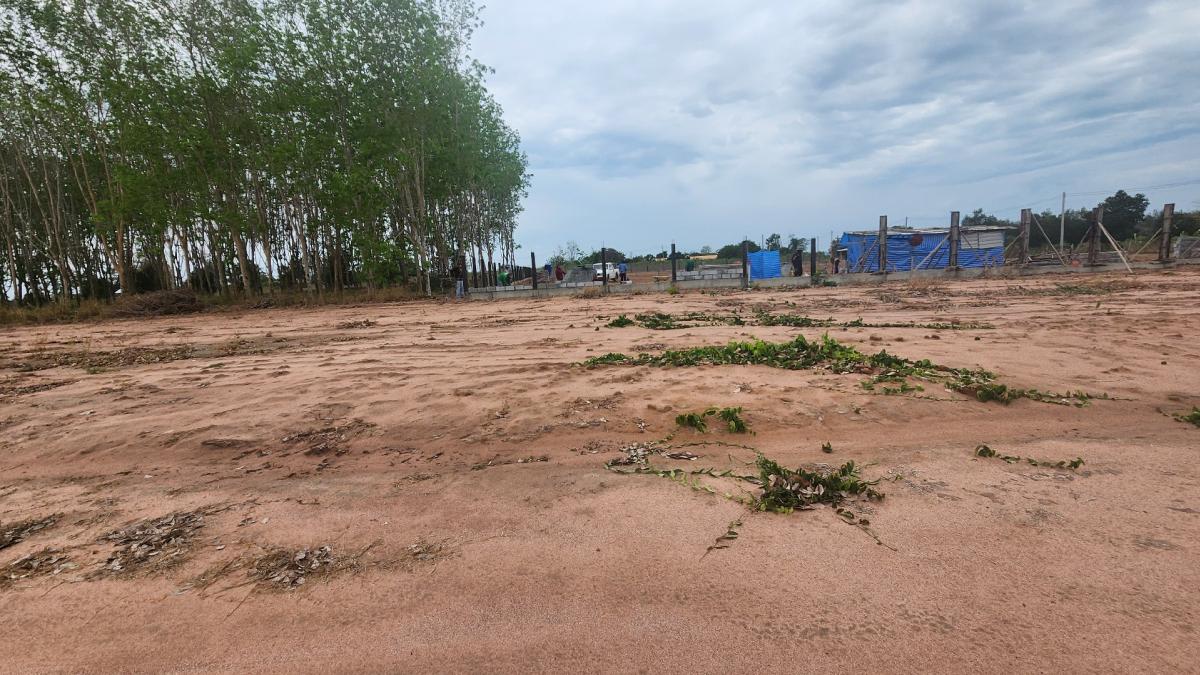 For SaleLandPattaya, Bangsaen, Chonburi : Land in Pattaya with mountain view, 100 sq m, cheap price