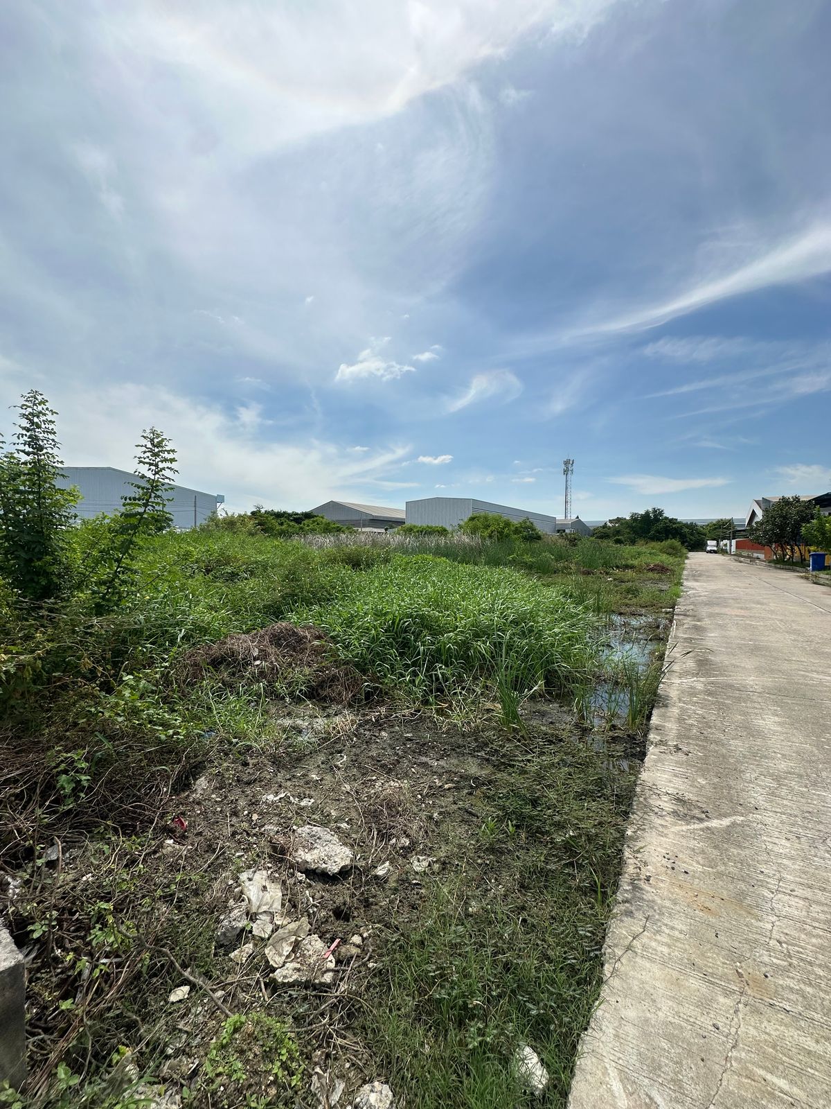 For SaleLandSamut Prakan,Samrong : **Land for sale, cheap price, Soi Thai Prakan, Bang Phli, Samut Prakan.