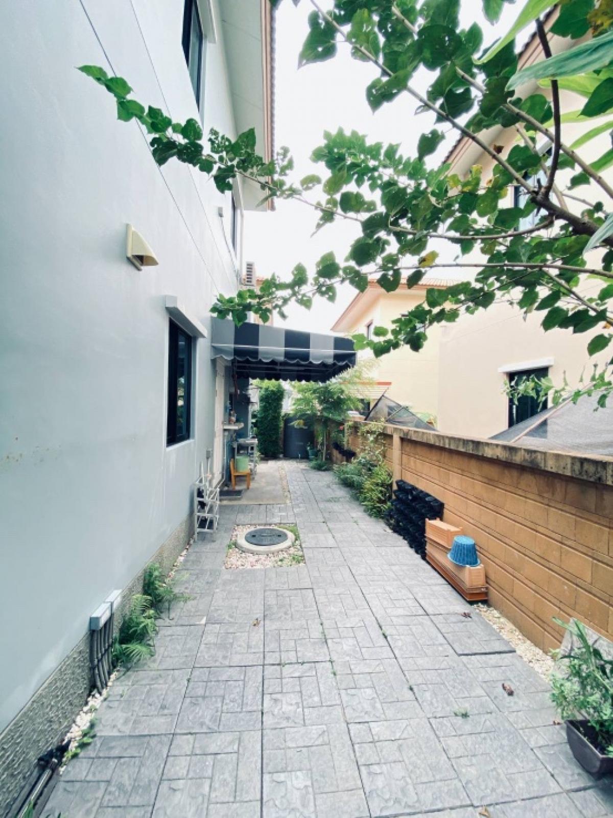 ขายบ้านมีนบุรี-ร่มเกล้า : บ้านเดี่ยว เดอะริคโค้ เรสซิเด้นซ์ วงแหวนฯ-จตุโชติ คลองสามวา กทม. 50.60 ตร.ว. 4นอน 3น้ำ 2จอด