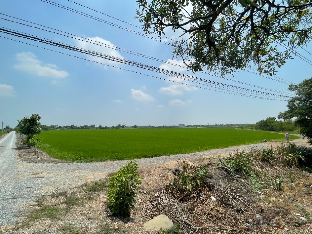 ขายที่ดินนครปฐม : ขาย ที่ดิน 35-3-6 ไร่ ริมถนน 346 ปทุมธานี-บางเลน ติดถนนหลัก 4 เลน รถวิ่งไปมาตลอด ถ. ปทุมธานี-บางเลน จ.นครปฐม ถนนหน้าที่ดินกว้าง รถบรรทุก รถใหญ่ เข้าออกสะดวก ที่ดินหน้ากว้างติดถนน 226 ม