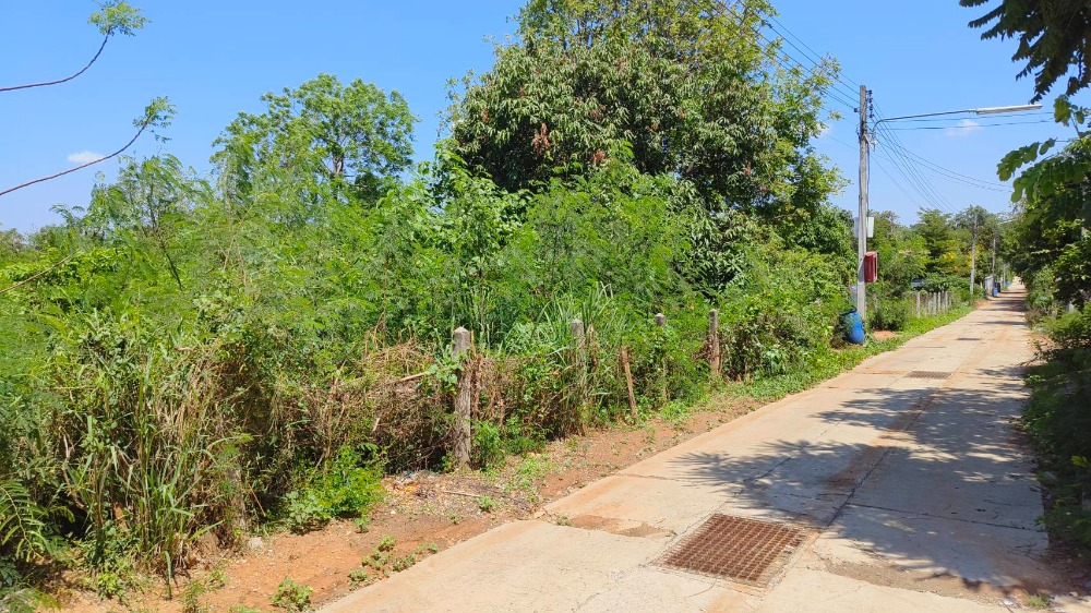 ขายที่ดินโคราช นครราชสีมา : ขายที่ดิน 400 ตรว. ห่างจากถนนมิตรภาพ 900 เมตร ถ.แผ่นดินธรรม อ.สีคิ้ว, นครราชสีมา