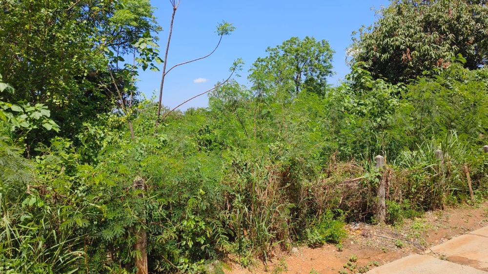 ขายที่ดินโคราช นครราชสีมา : ขายที่ดิน 400 ตรว. ห่างจากถนนมิตรภาพ 900 เมตร ถ.แผ่นดินธรรม อ.สีคิ้ว, นครราชสีมา