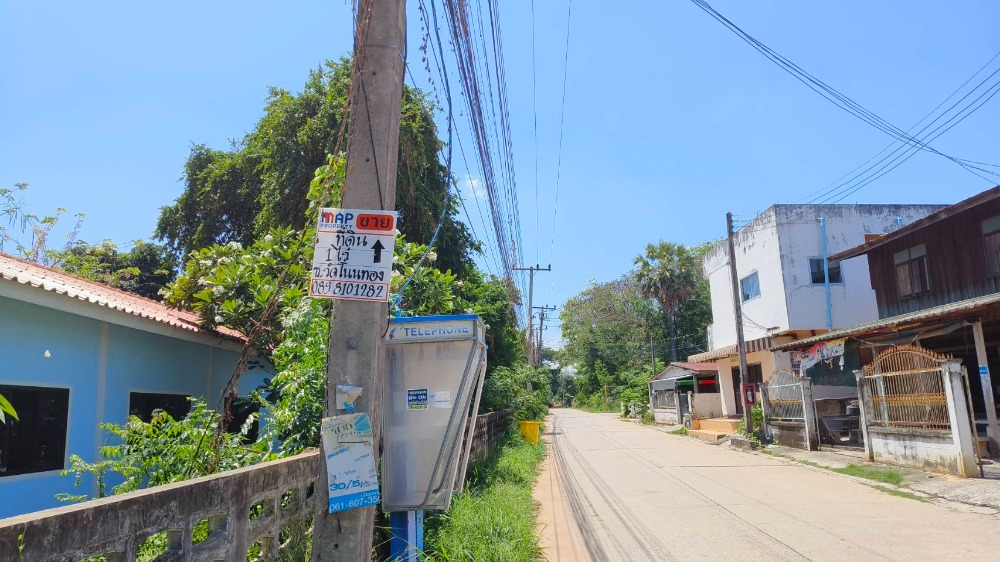 ขายที่ดินโคราช นครราชสีมา : ขายที่ดิน 400 ตรว. ห่างจากถนนมิตรภาพ 900 เมตร ถ.แผ่นดินธรรม อ.สีคิ้ว, นครราชสีมา