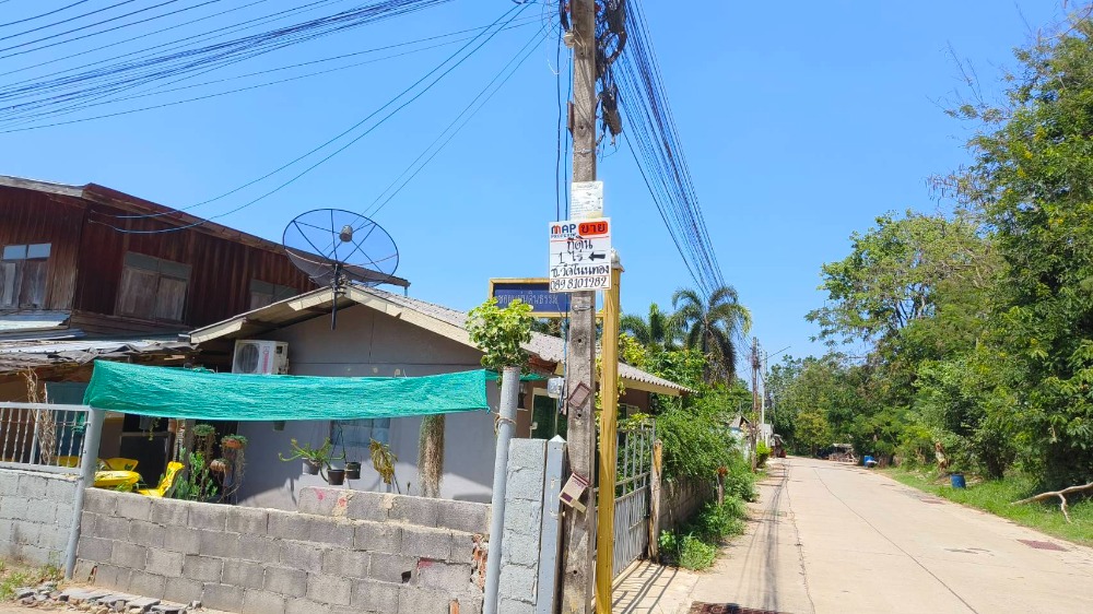 ขายที่ดินโคราช นครราชสีมา : ขายที่ดิน 400 ตรว. ห่างจากถนนมิตรภาพ 900 เมตร ถ.แผ่นดินธรรม อ.สีคิ้ว, นครราชสีมา