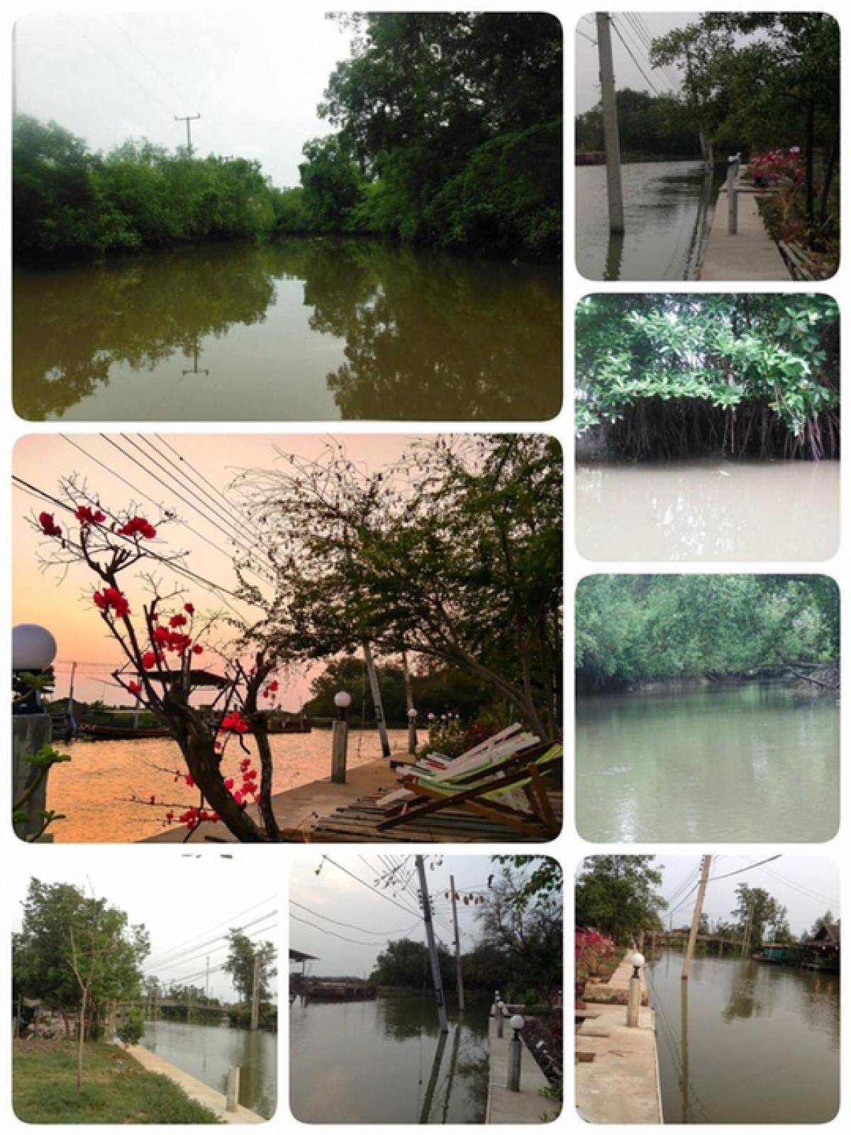 For SaleLandSamut Songkhram : Waterfront land for sale with 3 houses, Khlong Khon, Samut Songkhram