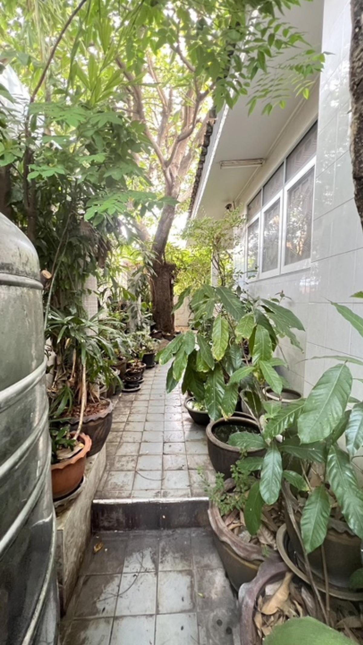 ขายบ้านเกษตร นวมินทร์ ลาดปลาเค้า : 📢👇บ้านชั้นเดียว ราคาดี  ถ. เกษตรนวมินทร์ เดินทางสะดวก ได้ หลายเส้นทาง