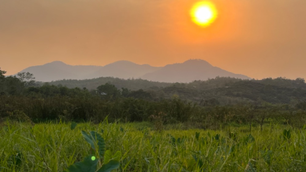 For SaleLandChiang Mai : **Price reduction** Land for sale with mountain view, Mae Wang District, Chiang Mai, owner selling