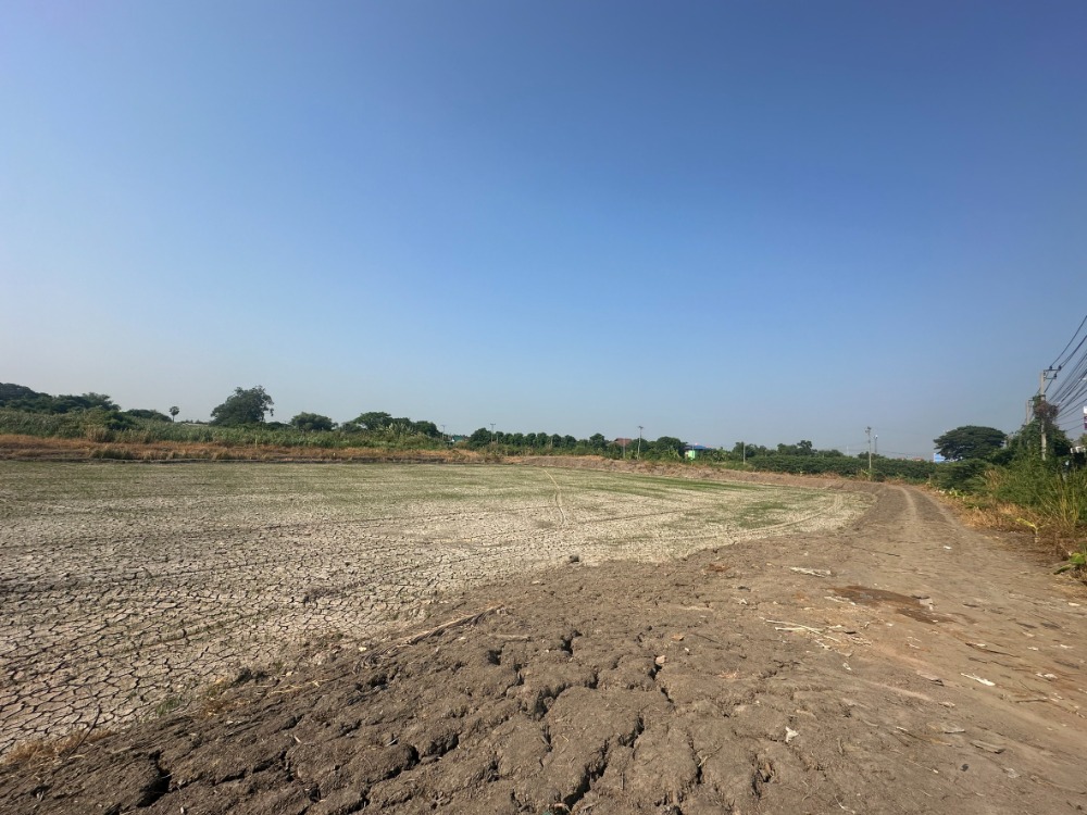 For RentLandRama5, Ratchapruek, Bangkruai : Waterfront land for rent (size 4 rai 3 ngan) next to Khlong Phra Udom, Pak Kret 345, Nonthaburi, suitable for a cafe or waterfront restaurant.