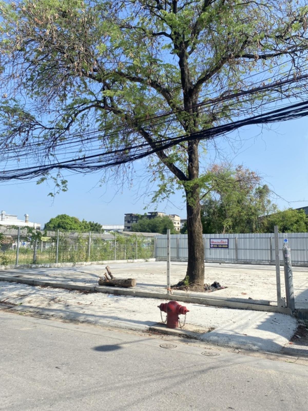 ให้เช่าที่ดินพระราม 2 บางขุนเทียน : ให้เช่าที่ดินพระราม 2 ทำร้านอาหาร โกดัง office container ถมแล้ว บางกระดี่ ซอย 1 เข้าออกได้หลายทาง