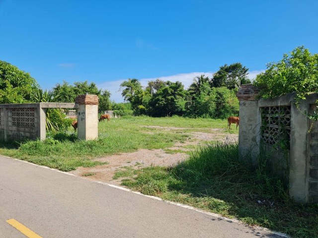 For SaleLandRatchaburi : Land for sale, area 1 rai 1 ngan, the entire plot has been filled. Ready to build, close to the city, has a public road, can walk around to the main road, Pak Tho District, Ratchaburi Province.