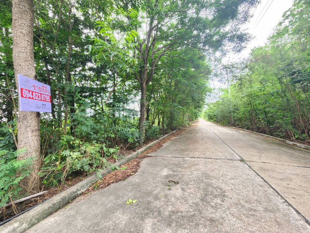 For SaleLandPathum Thani,Rangsit, Thammasat : Land for sale, 86 sq m., Rahaeng Subdistrict, Lat Lum Kaeo District, Pathum Thani Province.