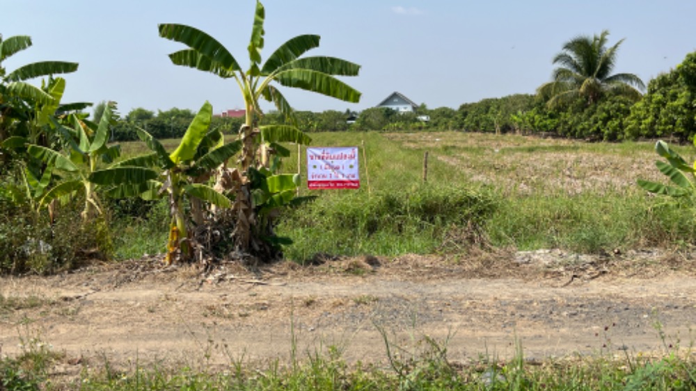 For SaleLandChiang Mai : **Price reduction** Empty land for sale, Mae Wang District, Chiang Mai, owner selling himself