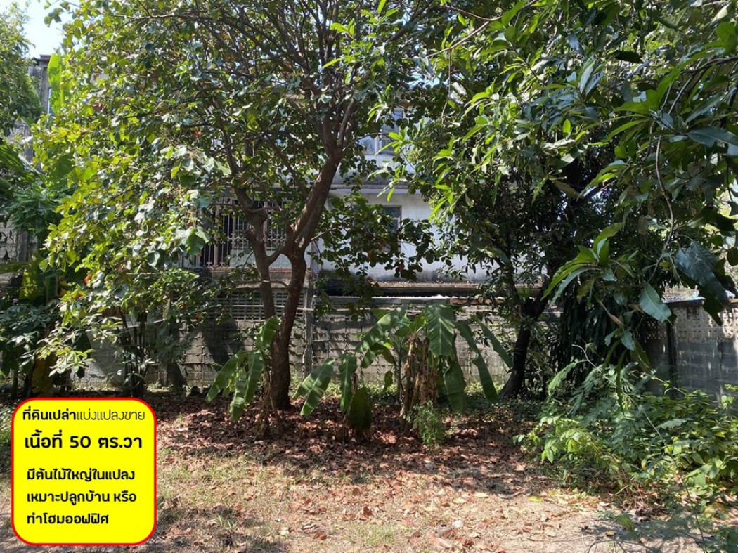 For SaleLandRamkhamhaeng, Hua Mak : Land for sale in Soi Lat Phrao 109 Intersection 3, area 50 sq.w., suitable for building a house
