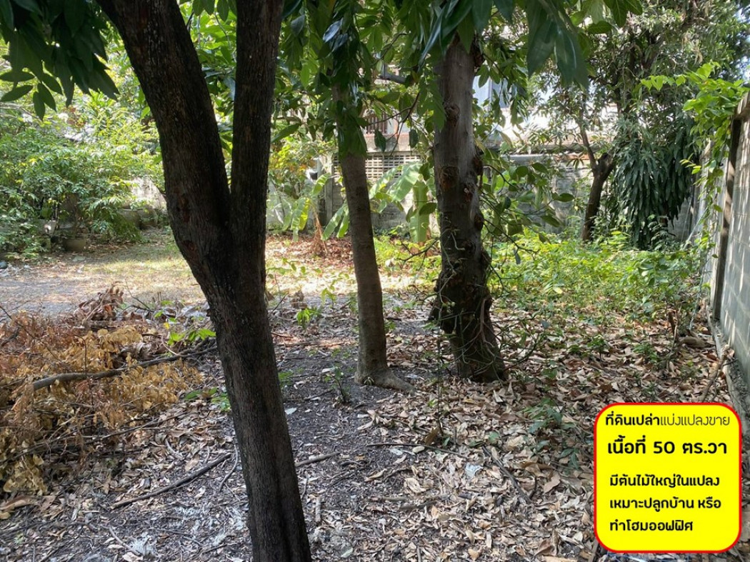 For SaleLandRamkhamhaeng, Hua Mak : Land for sale in Soi Lat Phrao 109 Intersection 3, area 50 sq.w., suitable for building a house