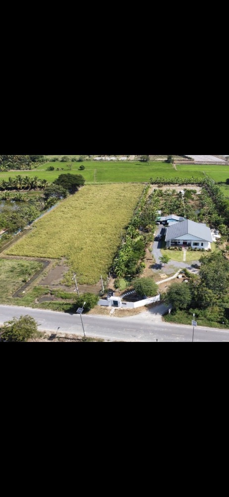 For SaleHouseAng Thong : House for sale with a resort atmosphere, has a pond, lots of fish in the pond, trees, various kinds of fruit, ready to move in, perfect for living. or cafe business