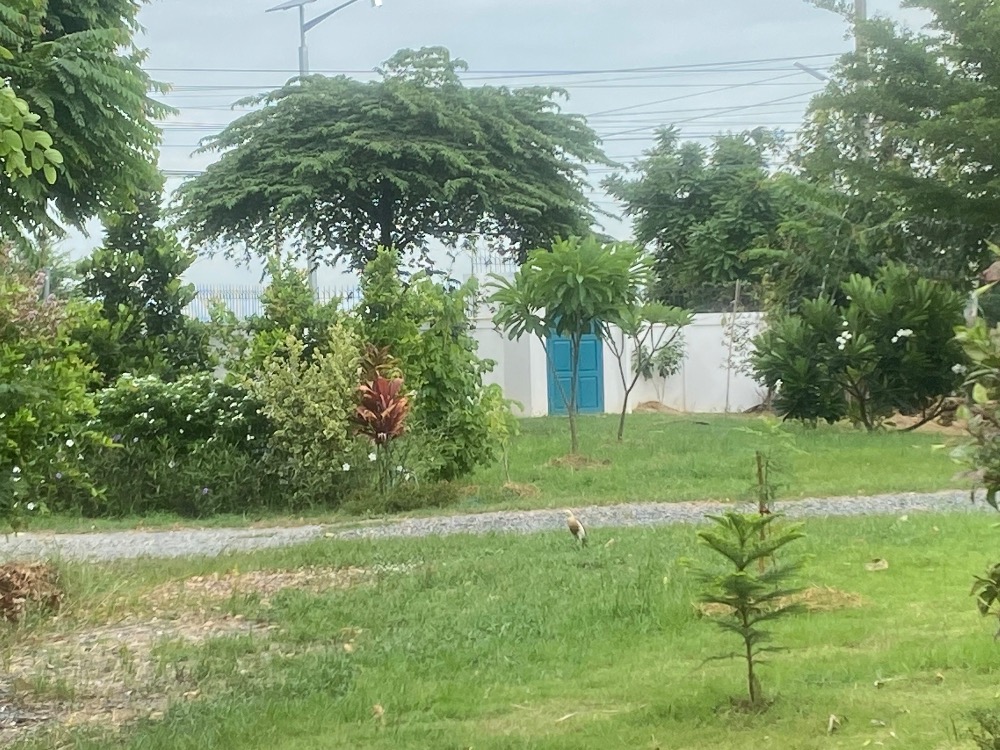 For SaleHouseAng Thong : House for sale with a resort atmosphere, has a pond, lots of fish in the pond, trees, various kinds of fruit, ready to move in, perfect for living. or cafe business