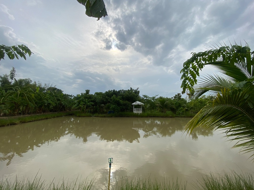 For SaleHouseAng Thong : House for sale with a resort atmosphere, has a pond, lots of fish in the pond, trees, various kinds of fruit, ready to move in, perfect for living. or cafe business