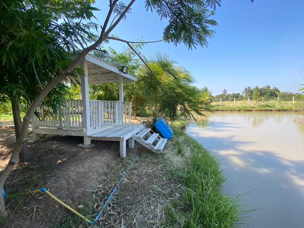 For SaleHouseAng Thong : House for sale with a resort atmosphere, has a pond, lots of fish in the pond, trees, various kinds of fruit, ready to move in, perfect for living. or cafe business