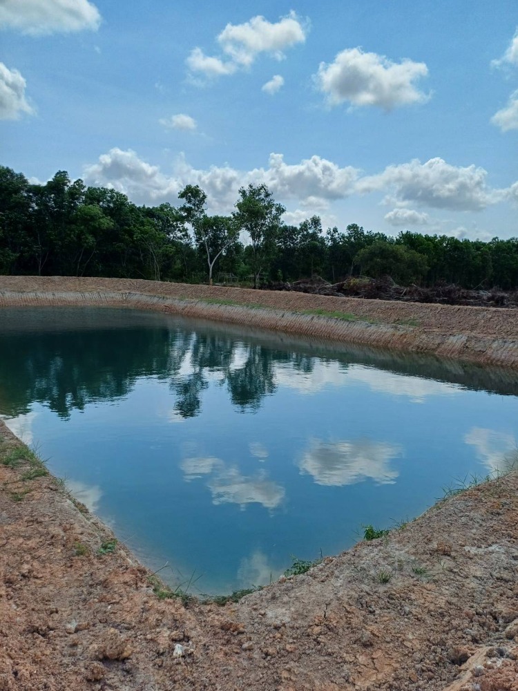 For SaleLandRayong : Land for sale, filled in and next to the road, ready to dig a pond, 7 rai, Klaeng District, Rayong Province. With rubber plantation, close to Thung Khwai Kin Subdistrict Administrative Organization, only 500 meters.