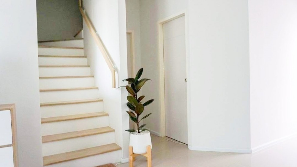 For SaleTownhomePathum Thani,Rangsit, Thammasat : Townhome for sale, Foret Lam Luk Ka-Khlong 5, 2 floors, 3 bedrooms, 2 bathrooms, 17.1 sqw, very new condition, next to the motorway.