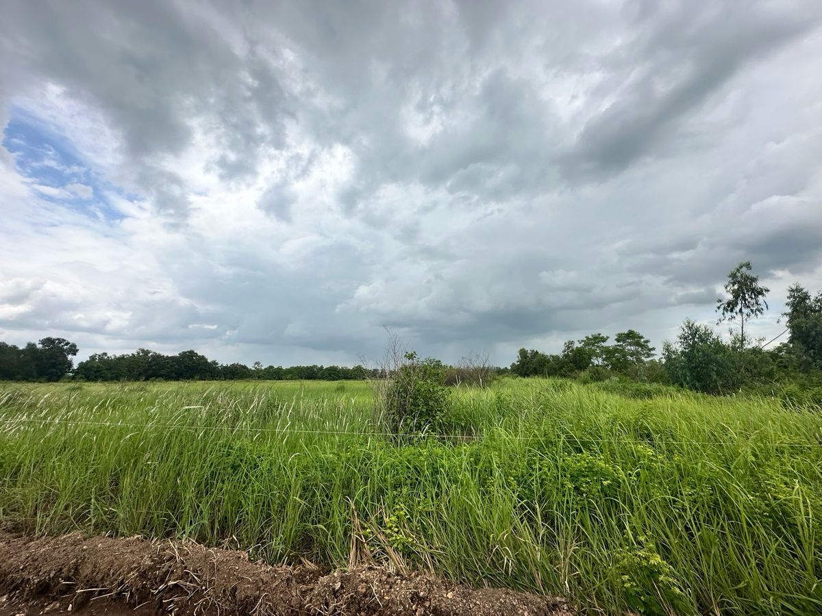 ขายที่ดินนครนายก : ขายที่ดินรังสิต-นครนายกองครักษ์คลอง 14ซอยหมู่บ้านสวนคลอง 14