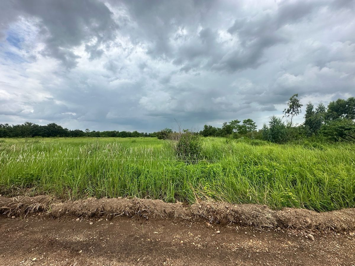 ขายที่ดินนครนายก : ขายที่ดินรังสิต-นครนายกองครักษ์คลอง 14ซอยหมู่บ้านสวนคลอง 14