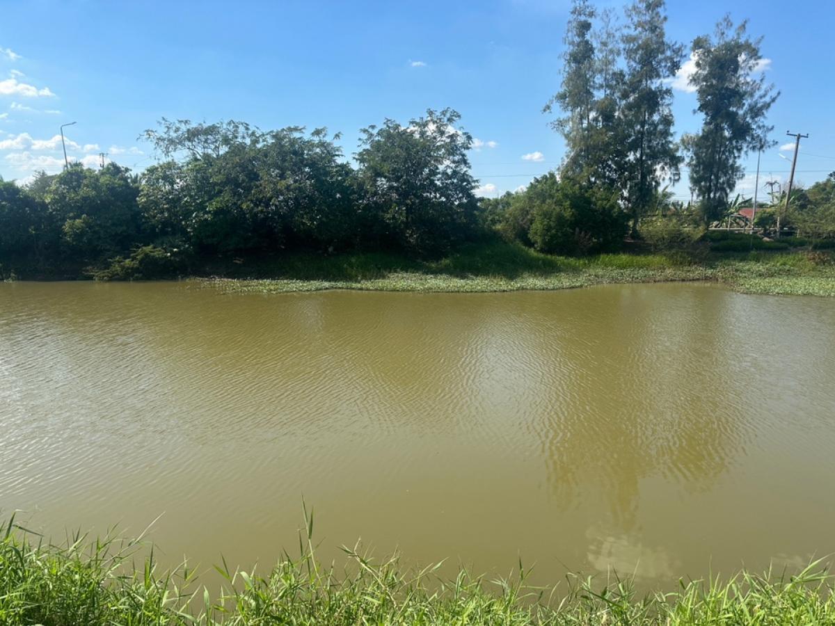 ขายที่ดินนครนายก : ขายที่ดินรังสิต-นครนายกองครักษ์คลอง 14ซอยหมู่บ้านสวนคลอง 14