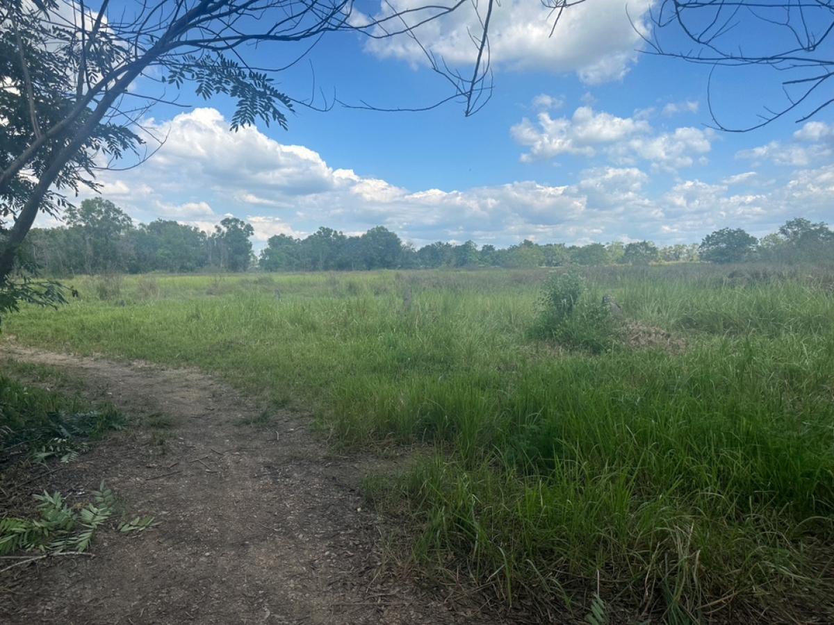 ขายที่ดินนครนายก : ขายที่ดินรังสิต-นครนายกองครักษ์คลอง 14ซอยหมู่บ้านสวนคลอง 14