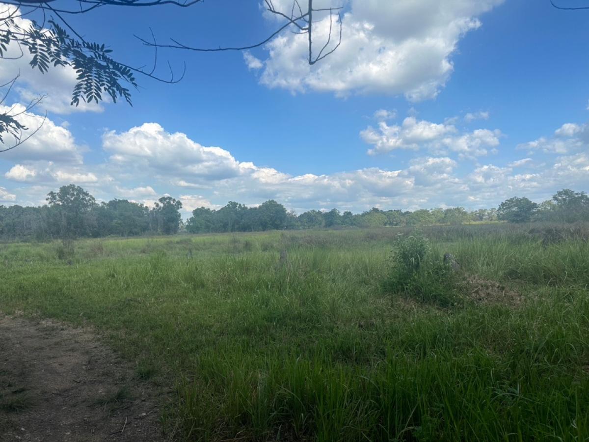 ขายที่ดินนครนายก : ขายที่ดินรังสิต-นครนายกองครักษ์คลอง 14ซอยหมู่บ้านสวนคลอง 14