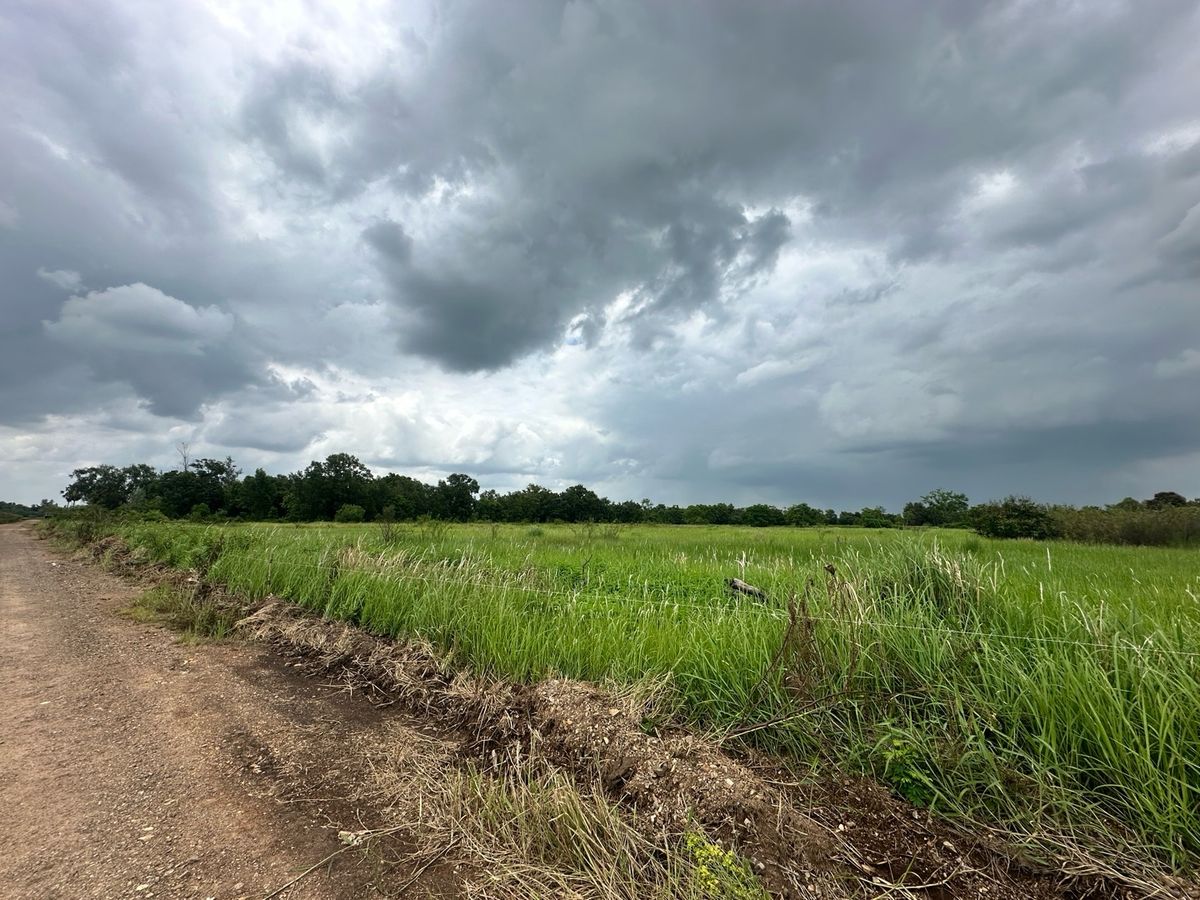 ขายที่ดินนครนายก : ขายที่ดินรังสิต-นครนายกองครักษ์คลอง 14ซอยหมู่บ้านสวนคลอง 14