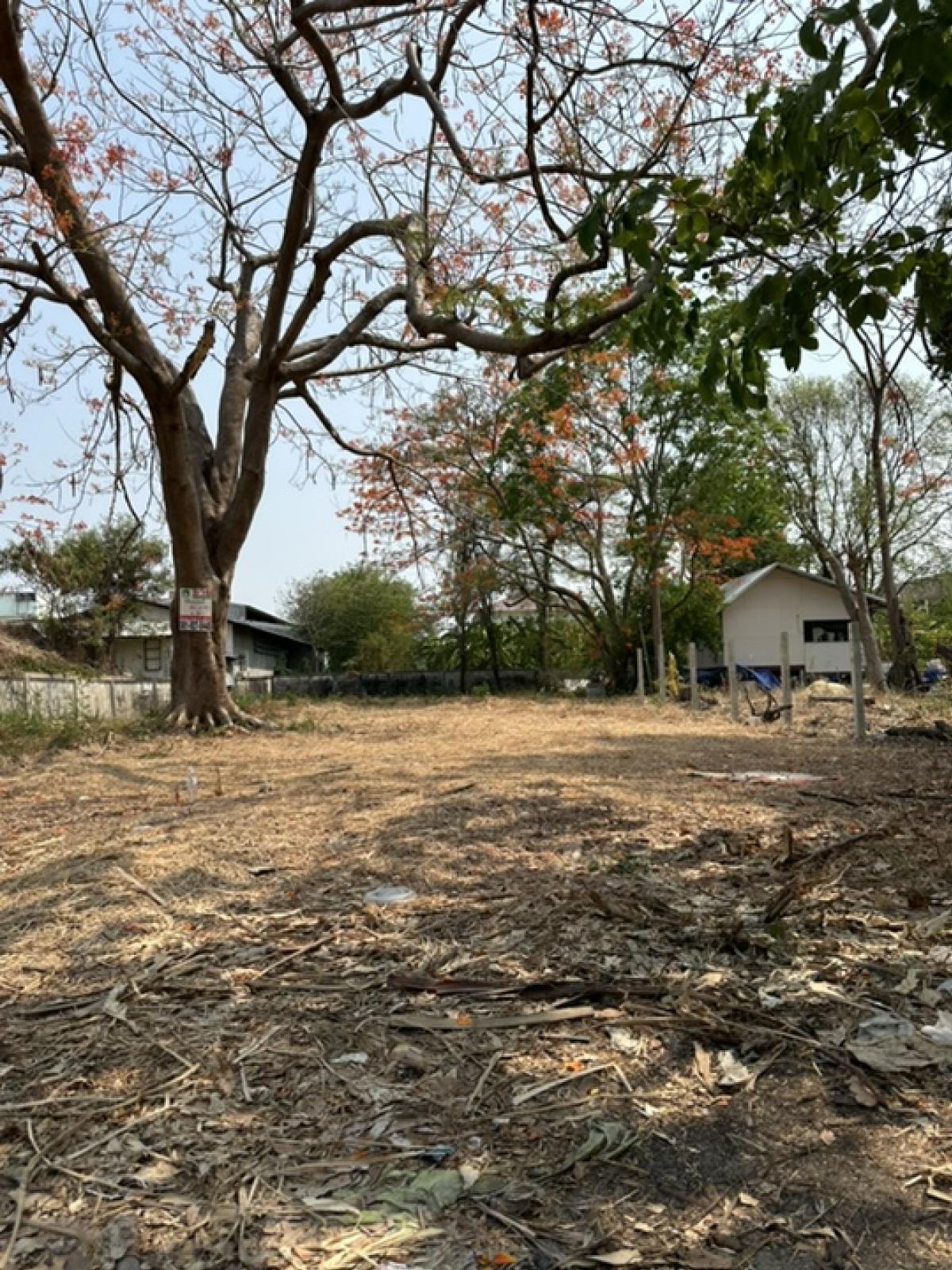 For SaleLandNawamin, Ramindra : Empty land for sale, already filled in, Soi Sai Mai 54, Sai Mai Subdistrict, Sai Mai District, Bangkok