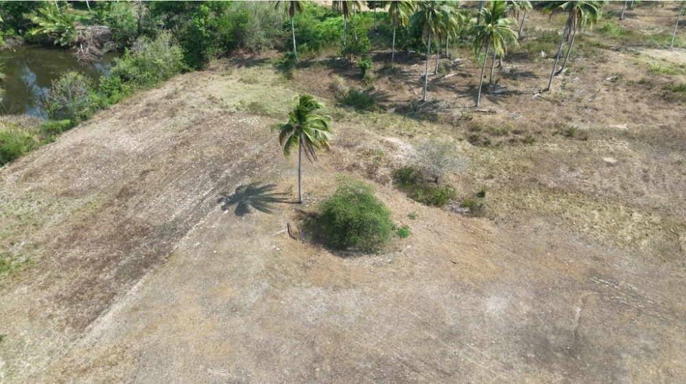 ขายที่ดินหัวหิน ประจวบคีรีขันธ์ : 💥ขายที่ดินสวยต่ำกว่าตลาด ขนาด 15 ไร่ 2 งาน 2.8 ตารางวา สร้างปั๊มน้ำมันได้